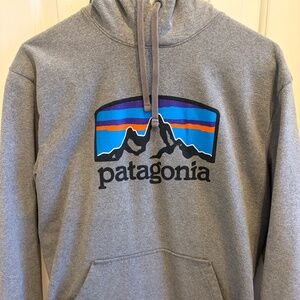 Patagonia Gray Hoodie
